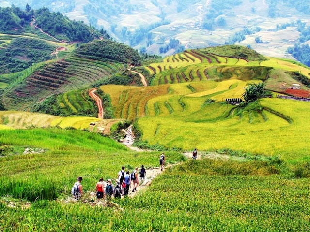 Du lịch Hà Nội - Mộc Châu - Điện Biên - Mù Cang Chải