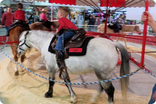 National Western Stock Show