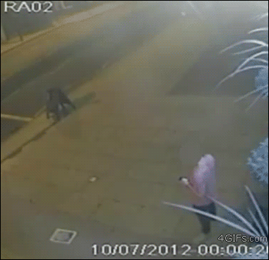 ảnh vui