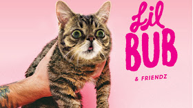 Lil Bub & Friendz