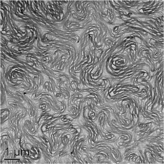 A web-like, gel structure is formed after fluid passes through the flow device. The unit of measurement is 1 micron. Credit: Environmental Molecular Sciences Laboratory and University of Washington