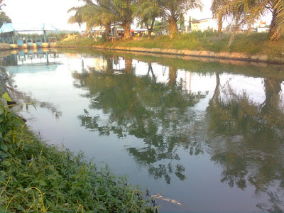 siring agung lubuk linggau selatan