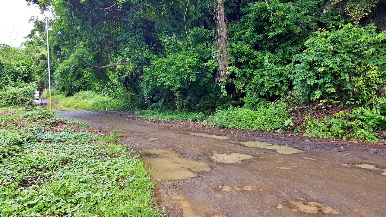 rough muddy road to Malajog Beach, Calbayog City