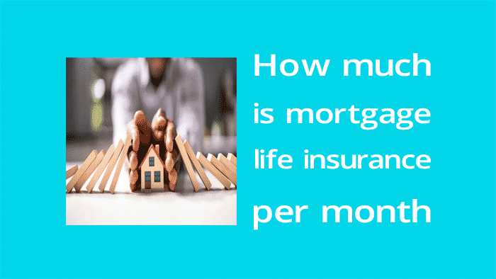 How much is mortgage life insurance per month