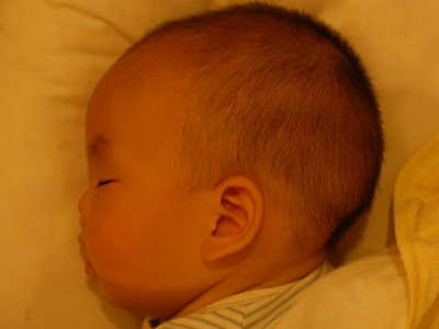 赤ちゃん 鼻低い 254433-赤ちゃん 鼻低い