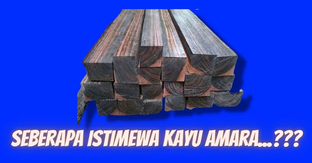 mengenal kayu amara