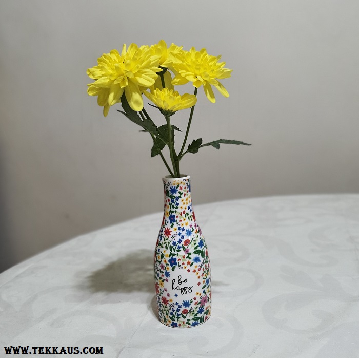 Flower Vase Colourful Gift Idea