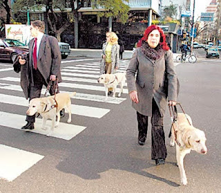 Resultado de imagen de persona con perro de guia no ciega