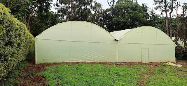 Metallic greenhouses in Kenya | Wooden greenhouses in Kenya