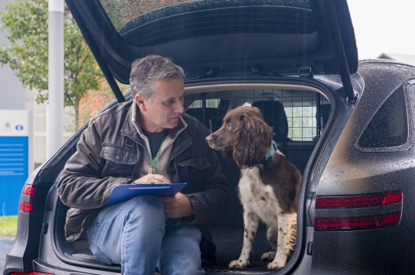 Los perros están más relajados en los vehículos eléctricos (EV) que en los diésel