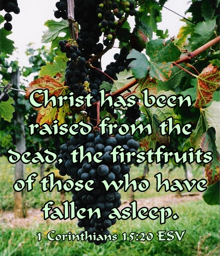 Christ the Firstfruits