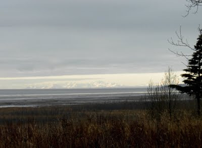 The Alaska Range West of Anchorage Alaska