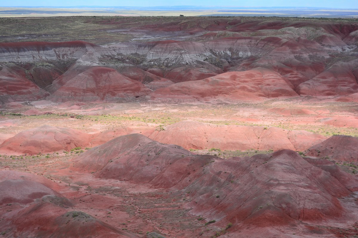 painted desert Petrified Forest