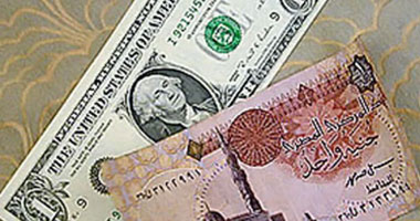 سعر الدولار اليوم فى مصر 20 5 2013 فى السوق السوداء ومكاتب الصرافة