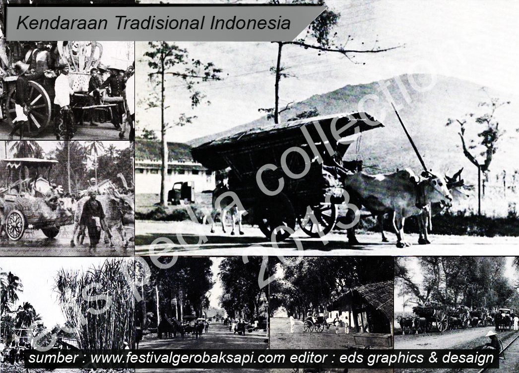 EDspedia daily reviews Kendaraan  Tradisional Indonesia 