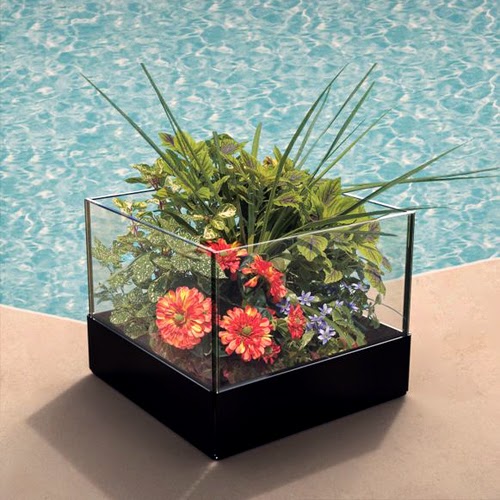 https://www.landngarden.com/Terrarium_Kits_Accessories_s/2046.htm