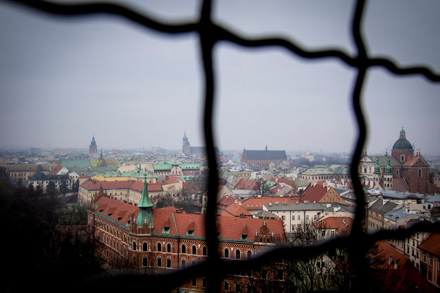 Vista dal campanile della Cattedrale-Castello del Wawel-Cracovia