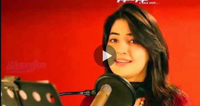 Pashto Film Nasha Hits HD Video 2