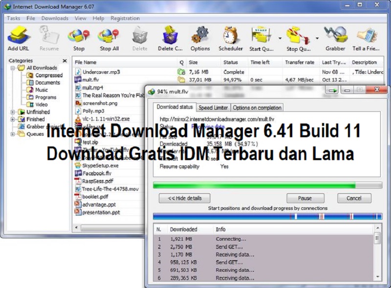 Internet Download Manager 6.41 Build 11 Download Gratis IDM Terbaru dan Lama