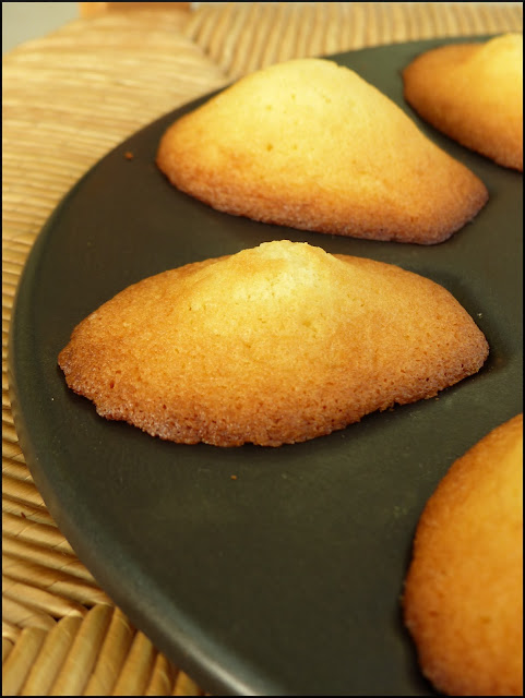 madeleines