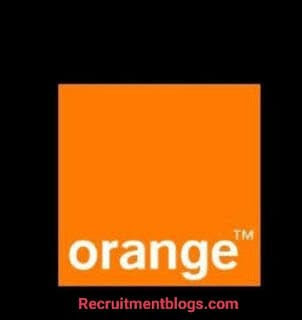 Junior Accounting Commercial At Orange egypt