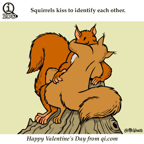 Animal Facts in Funny Animations