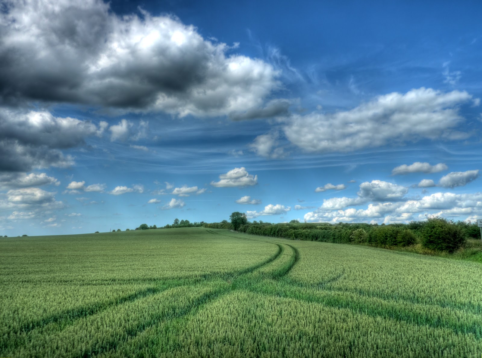 P1130095_89_90_91_92_93_94_tonemapped.JPG