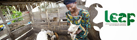 http://www.fao.org/partnerships/leap/livestock-partnership/en/