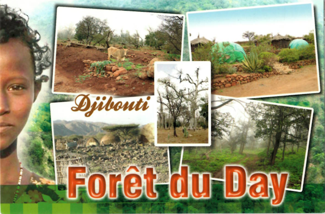 Incoming Postcard from Djibouti