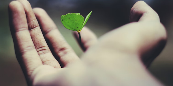 How Does Developing Grit Contribute to Personal Growth?