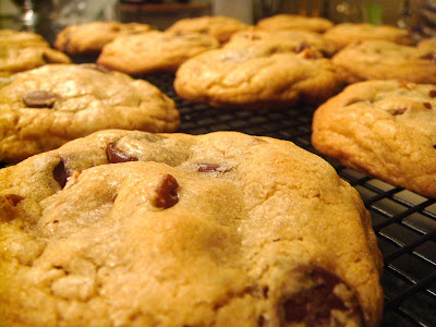 America's Test Kitchen Perfect Chocolate Chip Cookies