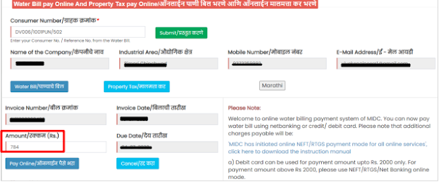 Delay Payment Fees