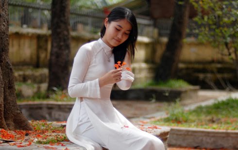  Girl Quynh  on Vietnamese Girl In Ao Dai Gallery   Vietnamese Girls Pictures