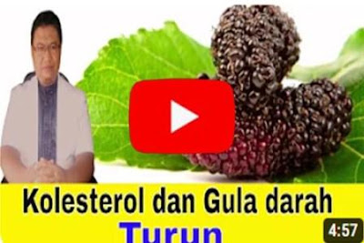 https://keranjangkesehatan.gankoko.com/2023/08/manfaat-daun-murbei-untuk-kesehatan.html