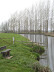 The river Waveney at Geldeston Locks