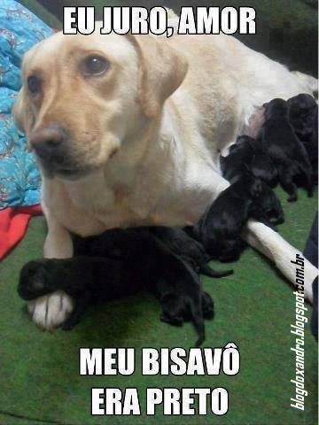 bisavo.png (360×480)