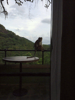 ジェフリー・バワのヘリタンス　カンダラマの猿