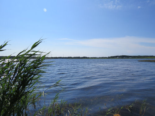 Manistee Lake