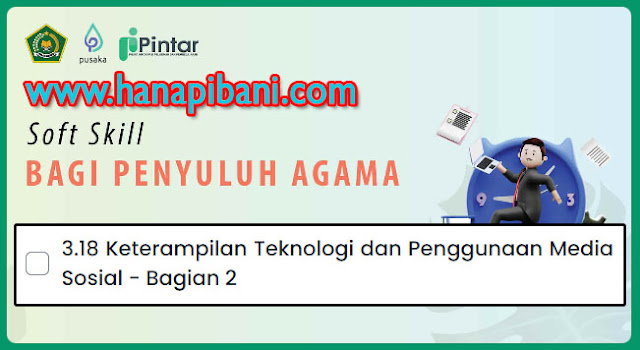 hanapibani.com