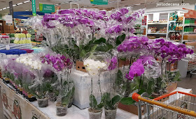 flores-expostas-em-gondolas-supermercado