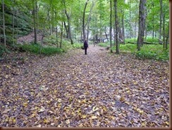 Starved Rock S.P IL