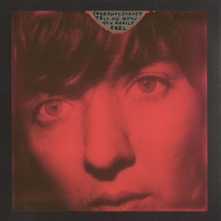 MP3 download Courtney Barnett - Tell Me How You Really Feel itunes plus aac m4a mp3