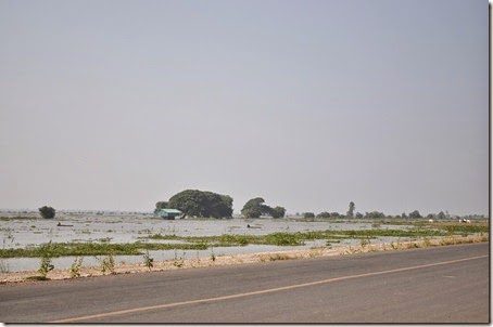 Resize of DSC_0001