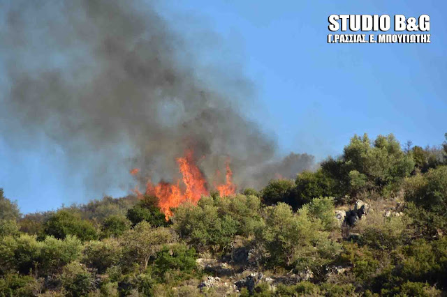 Αργολίδα: Πυρκαγιά στα Φίχτια