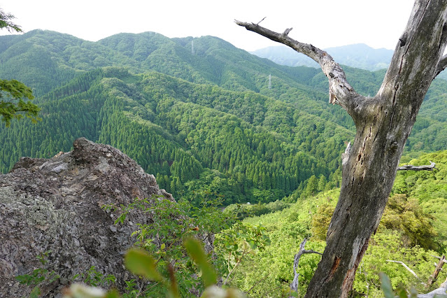 鳥取県西伯郡南部町八金 金華山登山道からの眺望