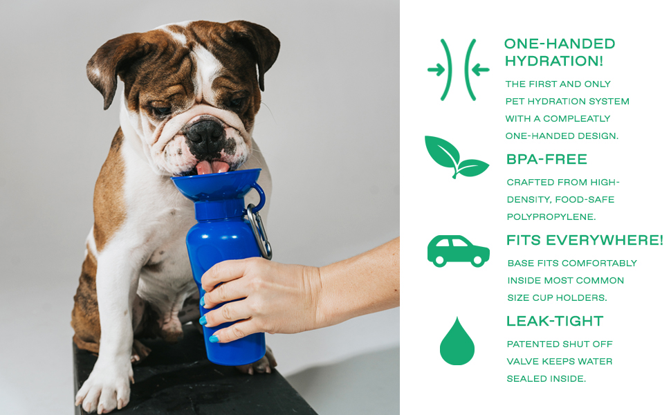 BPA-Free Travel Dog Water Bottle
