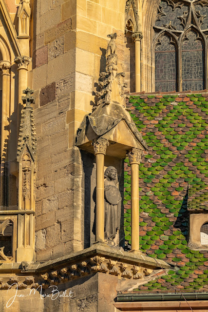 Collégiale Saint-Martin (Colmar), façade sud