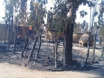 Photos: Scores killed, homes razed by suspected Fulani herdsmen in Numan, Adamawa State