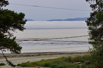 fogbank in front of Canada