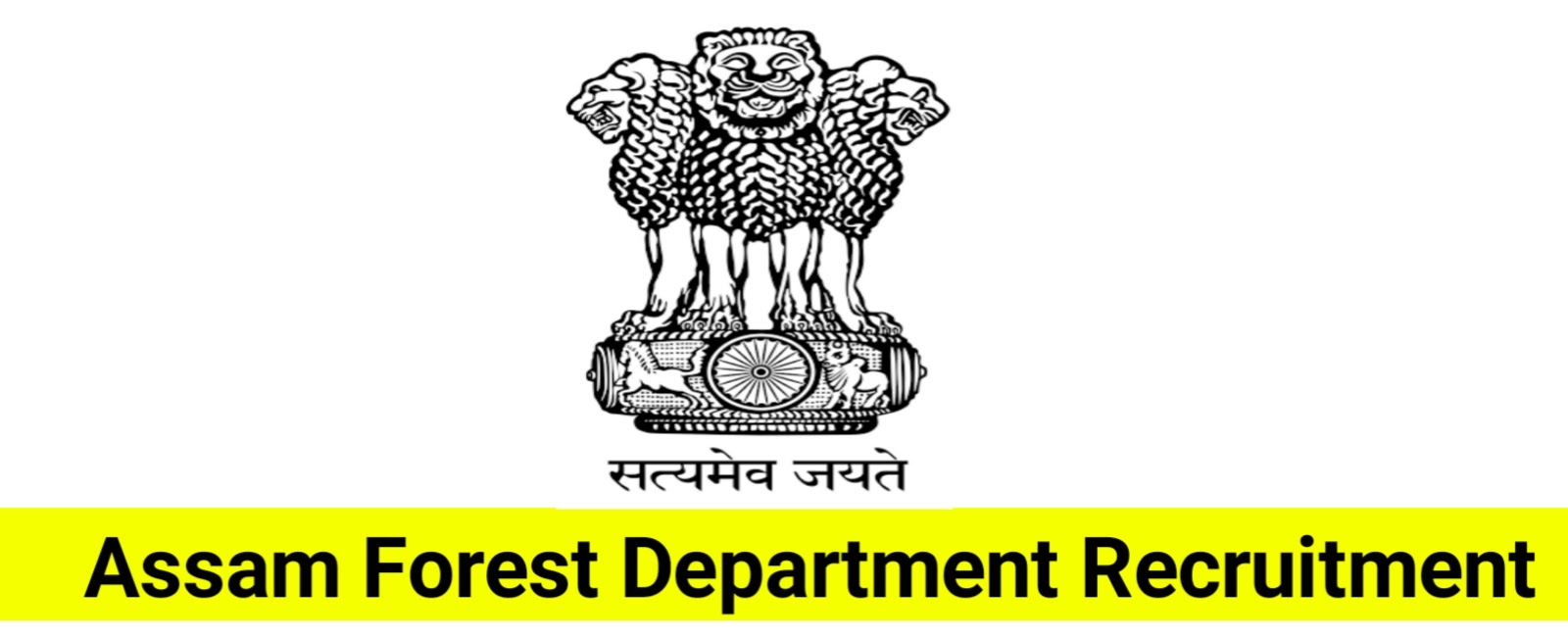 Assam Forest Department Recruitment 2023 – 2741 Vacancy, Online Apply
